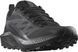 Кроссовки Salomon Sense Ride 5 SR 8 Black 000043680 фото 1
