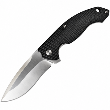 Нож складной Ruike Fang P852-B (8,9 см) 14С28N/G10 черный 000061821 фото