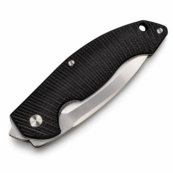 Нож складной Ruike Fang P852-B (8,9 см) 14С28N/G10 черный 000061821 фото