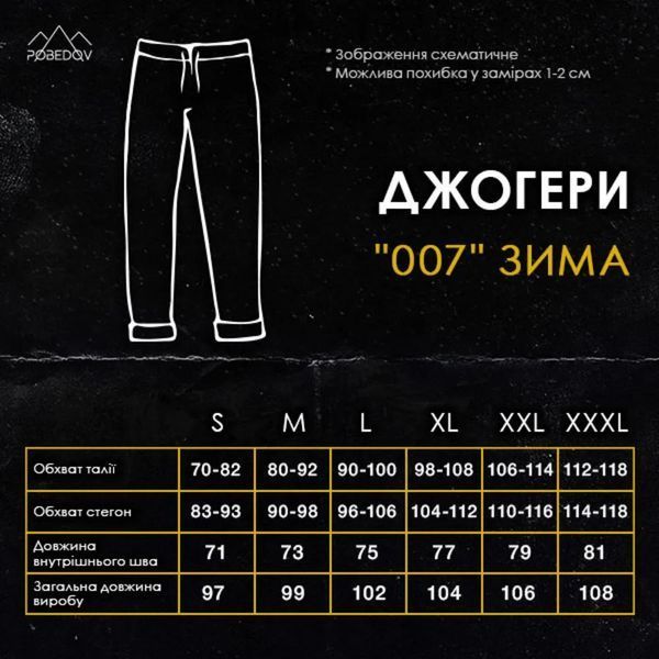 Штани Джогери Pobedov 007 зима чорні р. S 000048734 фото