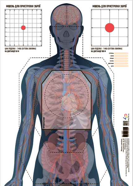 Мішень сувенірна «Анатомічна», ф. А2 000022163 фото