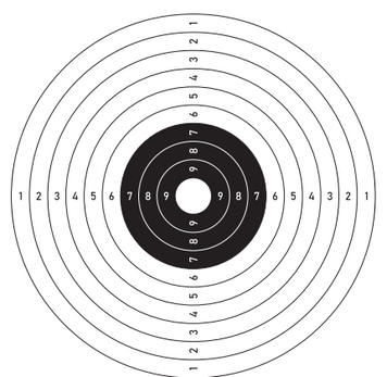 Мишень бумажная для стрельбы 30*30 см 000021203 фото